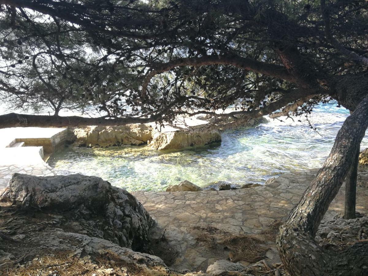 App Roko 2 Lägenhet Poreč Exteriör bild