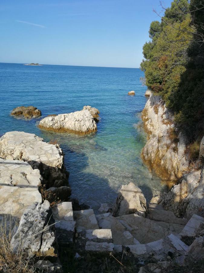 App Roko 2 Lägenhet Poreč Exteriör bild